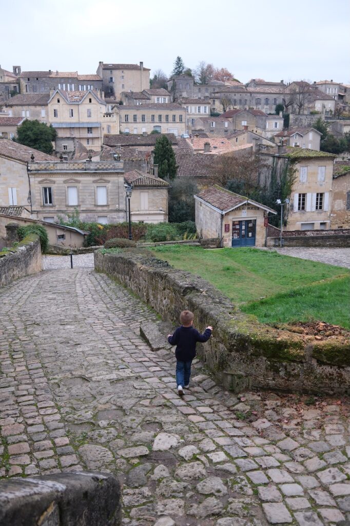 A hilltop view of a medieval French town.